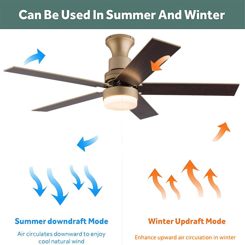 Latitude Run® 44" Carthel 5 Blade Retractable Blades Ceiling Fan with